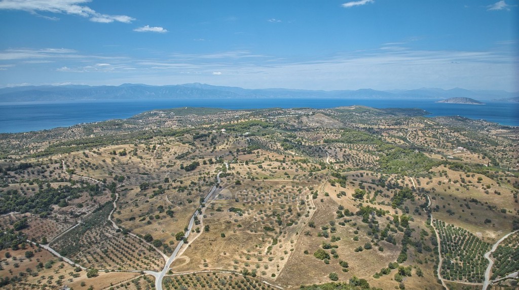 Αγροτεμάχια 60.839 τ.μ. πρός πώληση, Αργολίδα, Κρανίδι