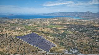Αγροτεμάχια 60.839 τ.μ. πρός πώληση, Αργολίδα, Κρανίδι-thumb-1