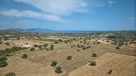 Αγροτεμάχια 70.000τ.μ. για πώληση-Κρανίδι » Κέντρο