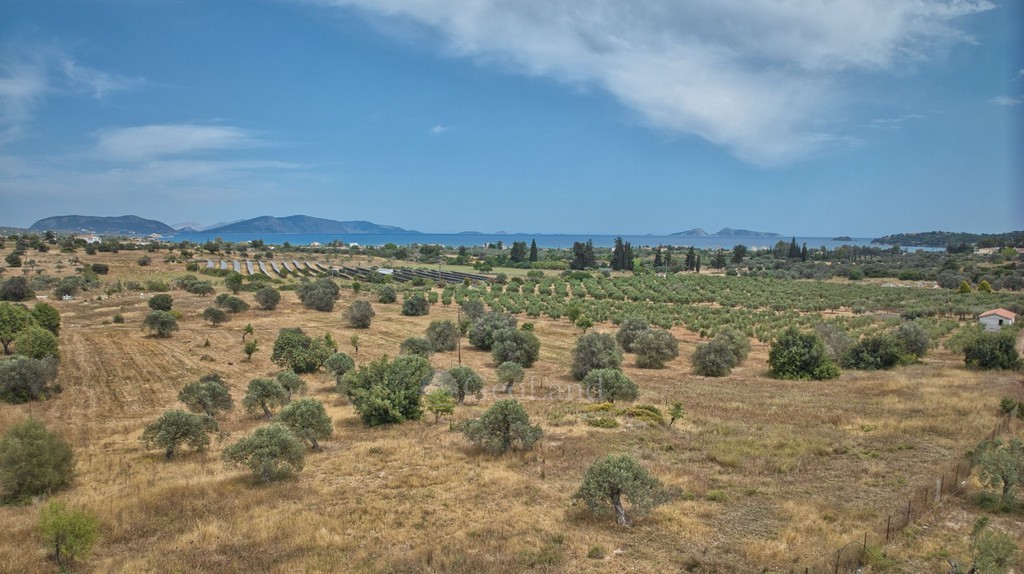 Αγροτεμάχια 10.000 τ.μ. προς πώληση, Πετροθάλασσα