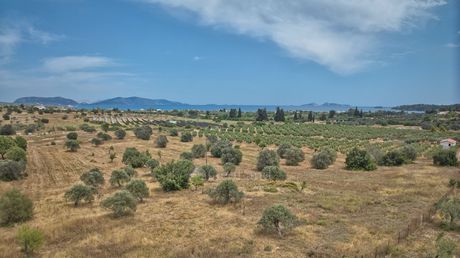 Αγροτεμάχια 10.000τ.μ. για πώληση-Κρανίδι » Πετροθάλασσα