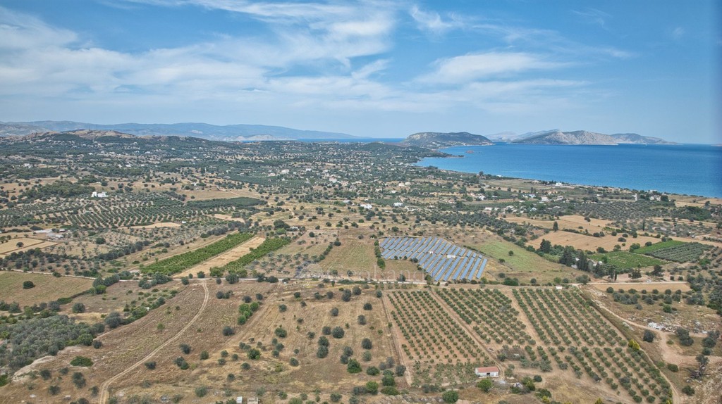 Αγροτεμάχια 10.000 τ.μ. προς πώληση, Πετροθάλασσα