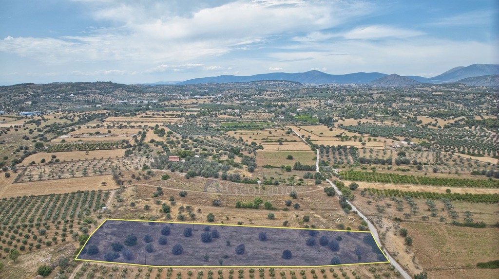 Αγροτεμάχια 10.000 τ.μ. προς πώληση, Πετροθάλασσα