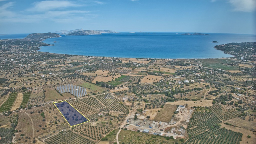 Αγροτεμάχια 10.000 τ.μ. προς πώληση, Πετροθάλασσα