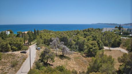 Οικόπεδο 1.028τ.μ. για πώληση-Κρανίδι » Κόστα