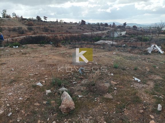 Αγροτεμάχια 288 τ.μ. για πώληση, Αθήνα - Ανατολικά Προάστια, Γέρακας