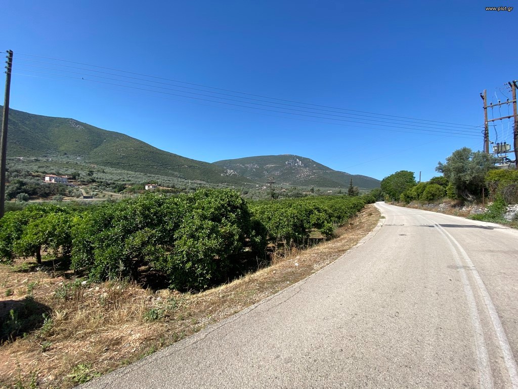Οικόπεδο 2.915 τ.μ. πρός πώληση, Αργολίδα, Επίδαυρος