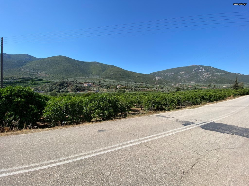 Οικόπεδο 2.915 τ.μ. πρός πώληση, Αργολίδα, Επίδαυρος