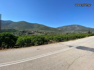 Οικόπεδο 2.915 τ.μ. για πώληση, Αργολίδα, Επίδαυρος-thumb-2