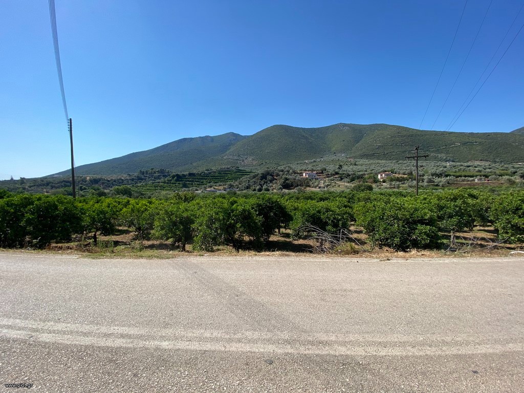 Οικόπεδο 2.915 τ.μ. πρός πώληση, Αργολίδα, Επίδαυρος