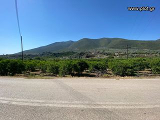 Οικόπεδο 2.915 τ.μ. για πώληση, Αργολίδα, Επίδαυρος-thumb-3
