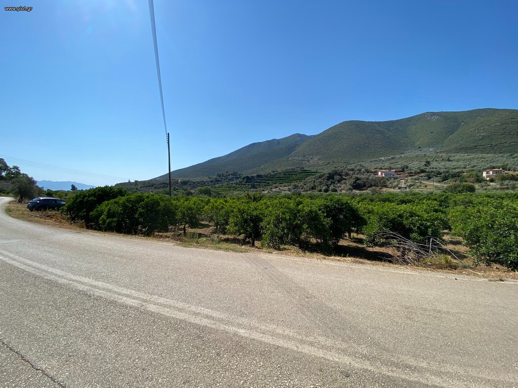 Οικόπεδο 2.915 τ.μ. πρός πώληση, Αργολίδα, Επίδαυρος