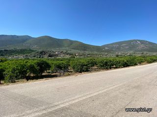 Οικόπεδο 2.915 τ.μ. για πώληση, Αργολίδα, Επίδαυρος-thumb-5