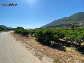 Οικόπεδο 2.915 τ.μ. για πώληση, Αργολίδα, Επίδαυρος-thumb-7
