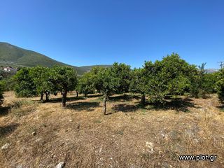 Οικόπεδο 2.915 τ.μ. για πώληση, Αργολίδα, Επίδαυρος-thumb-10