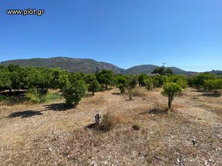 Οικόπεδο 2.915 τ.μ. για πώληση, Αργολίδα, Επίδαυρος-thumb-13