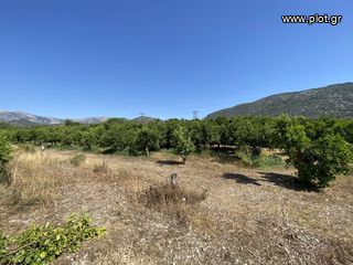 Οικόπεδο 2.915 τ.μ. για πώληση, Αργολίδα, Επίδαυρος-thumb-14