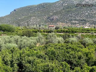 Οικόπεδο 2.915 τ.μ. για πώληση, Αργολίδα, Επίδαυρος-thumb-15