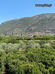 Οικόπεδο 2.915 τ.μ. για πώληση, Αργολίδα, Επίδαυρος-thumb-16