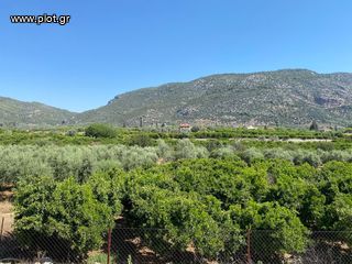 Οικόπεδο 2.915 τ.μ. για πώληση, Αργολίδα, Επίδαυρος-thumb-17