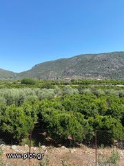 Οικόπεδο 2.915 τ.μ. για πώληση, Αργολίδα, Επίδαυρος-thumb-18