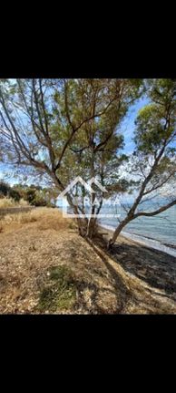 Land plot 850 sqm for sale, Achaia, Dytikis Achaias