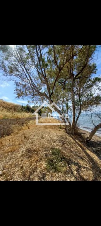 Οικόπεδο 850 τ.μ. προς πώληση, Κάτω Αλισσός