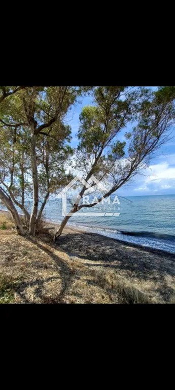 Οικόπεδο 850 τ.μ. προς πώληση, Κάτω Αλισσός