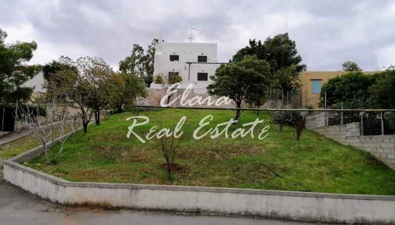 Μονοκατοικία 170 τ.μ. πρός πώληση, Φθιώτιδας, Μαλεσίνα
