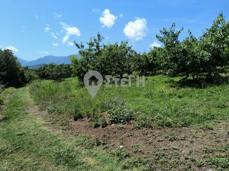 Parcel 4.750sqm for sale-Naousa » Giannakochori