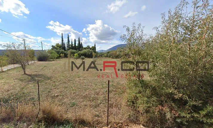 Land plot 2.560 sqm for sale, Athens - East, Pallini