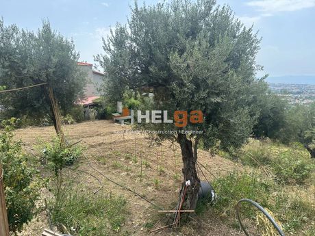 Οικόπεδο 3.219 τ.μ. για πώληση