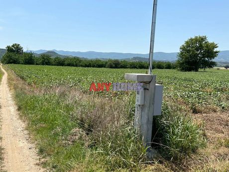 Αγροτεμάχια 15.000τ.μ. για πώληση-Εγνατία » Σχολάρι