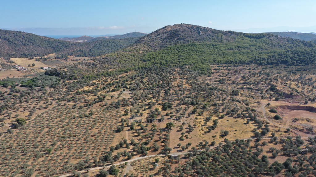 Αγροτεμάχια 16.367 τ.μ. προς πώληση, Κέντρο Ερμιόνης