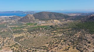 Αγροτεμάχια 16.367 τ.μ. για πώληση