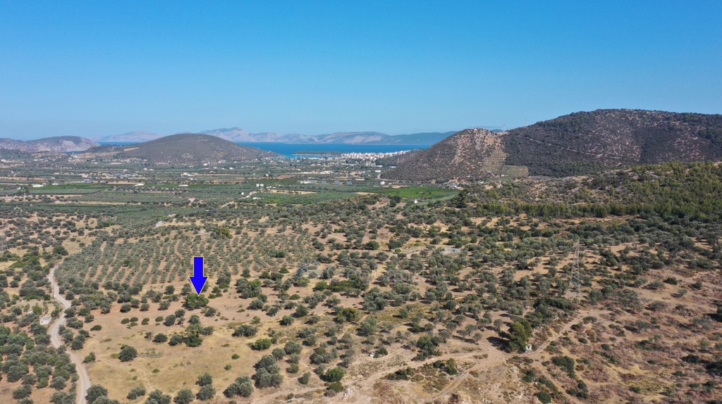 Αγροτεμάχια 16.367 τ.μ. προς πώληση, Κέντρο Ερμιόνης