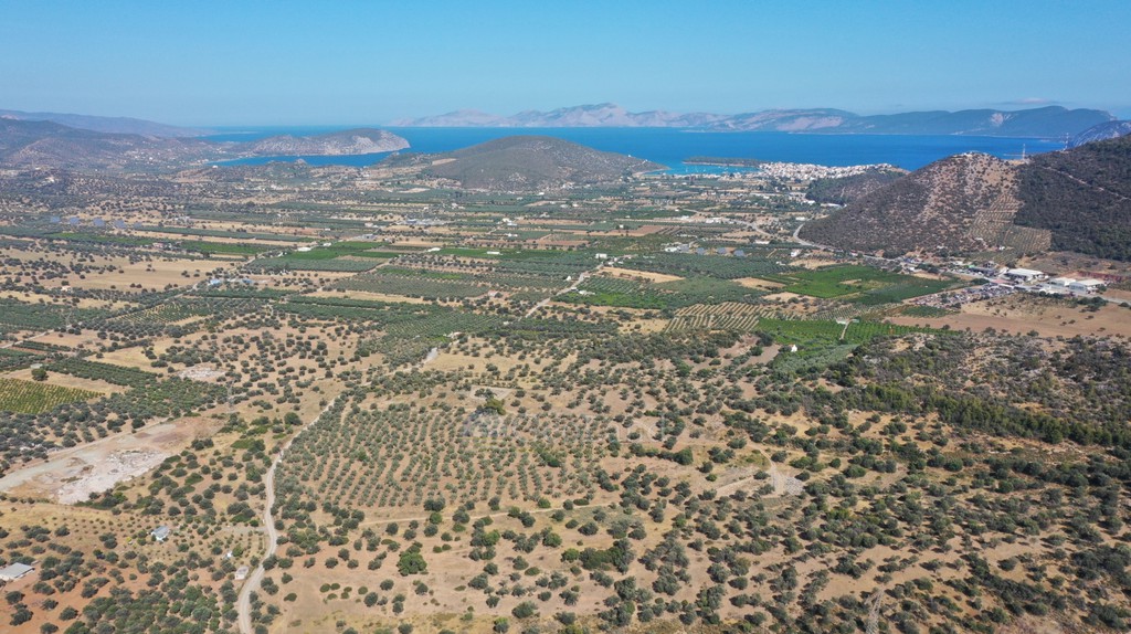 Αγροτεμάχια 16.367 τ.μ. προς πώληση, Κέντρο Ερμιόνης