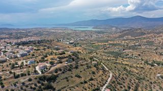 Αγροτεμάχια 7.688 τ.μ. για πώληση