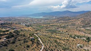 Αγροτεμάχια 7.688 τ.μ. για πώληση, Αργολίδα, Κρανίδι-thumb-10