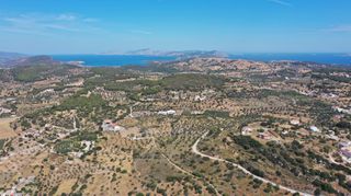 Αγροτεμάχια 7.688 τ.μ. για πώληση, Αργολίδα, Κρανίδι-thumb-7