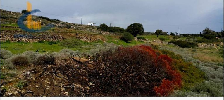 Parcel 6.362 sqm for sale, Cyclades, Paros