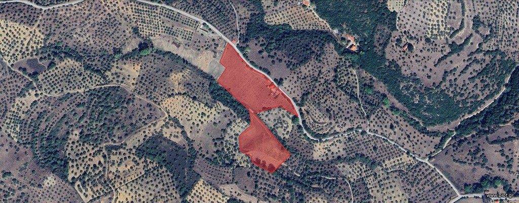 Αγροτεμάχια 18.803 τ.μ. προς πώληση, Μερκούρι