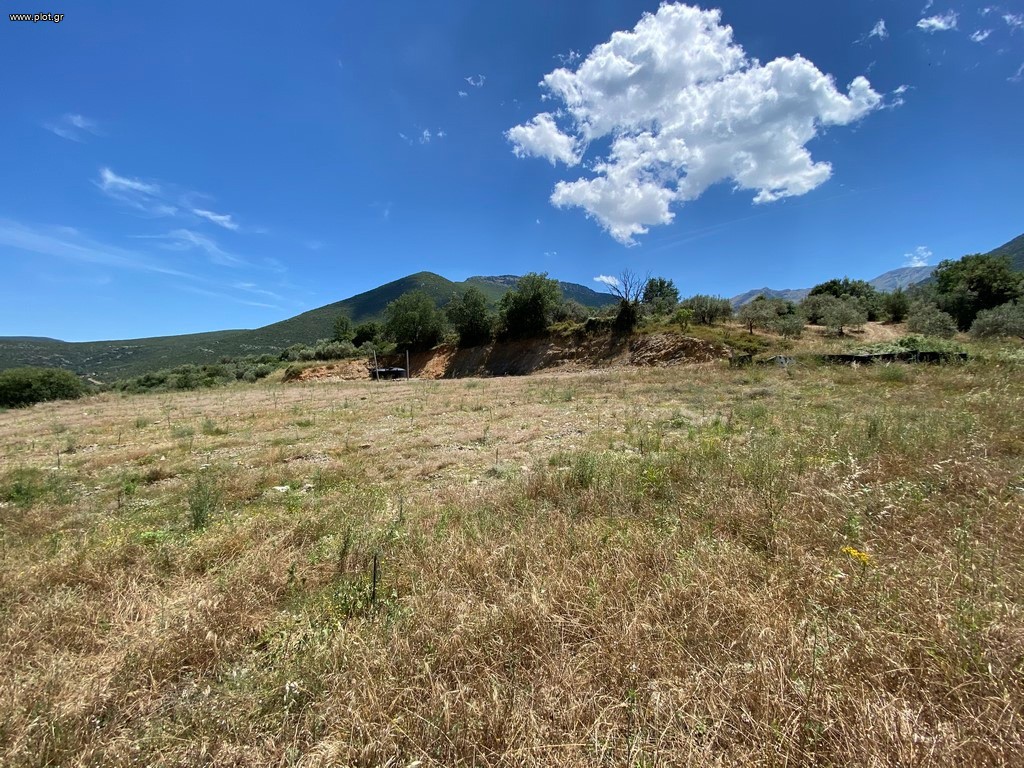 Αγροτεμάχια 18.803 τ.μ. προς πώληση, Μερκούρι