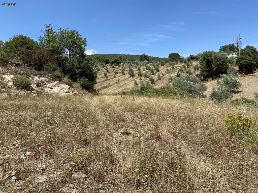Αγροτεμάχια 18.803 τ.μ. προς πώληση, Μερκούρι