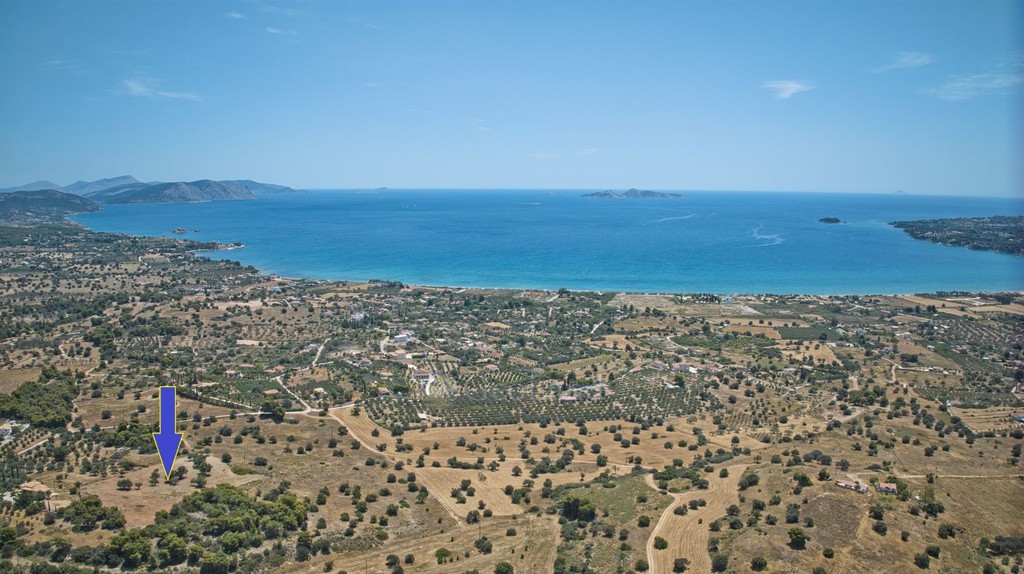 Αγροτεμάχια 9.100 τ.μ. πρός πώληση, Αργολίδα, Κρανίδι