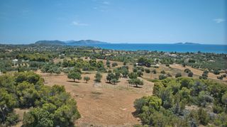 Αγροτεμάχια 9.100 τ.μ. πρός πώληση, Αργολίδα, Κρανίδι-thumb-21