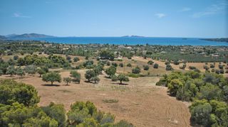Αγροτεμάχια 9.100 τ.μ. πρός πώληση, Αργολίδα, Κρανίδι-thumb-24