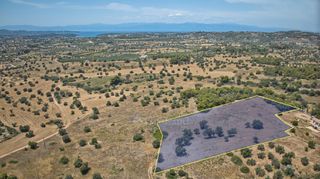 Αγροτεμάχια 9.100 τ.μ. πρός πώληση, Αργολίδα, Κρανίδι-thumb-1