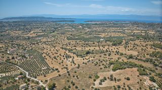 Αγροτεμάχια 9.100 τ.μ. πρός πώληση, Αργολίδα, Κρανίδι-thumb-13
