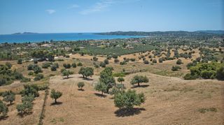 Αγροτεμάχια 9.100 τ.μ. πρός πώληση, Αργολίδα, Κρανίδι-thumb-9